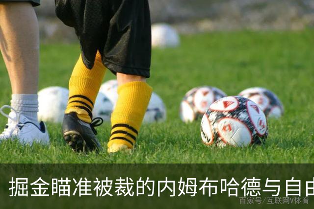 掘金瞄准被裁的内姆布哈德与自由球员文森特，后场补强在即